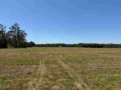 Photo of 7 BETHLEHEM RD, Adamsville, TN 38310 (MLS # 10224716)