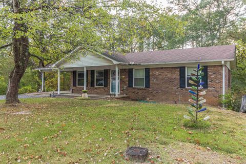 Photo of 260 MITCHELL DR, Selmer, TN 38375 (MLS # 10205928)