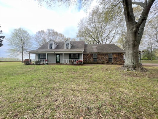 11485 SYCAMORE FARMS RD, COLLIERVILLE, TN 38017 - Image e8ced371025373cf4866679aa66b1321/2566534143