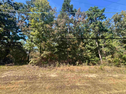 ADDRESS PRIVATE, KOSSUTH, MS  - Image e93fc04b5ac28a089f53597ecc2ff7f8/2201636685
