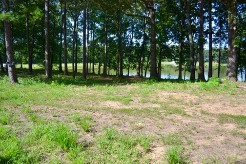 Photo of 00 ROLLING BROOK DRIVE DR, Somerville, TN 38068 (MLS # 10226742)