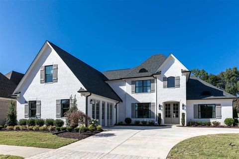 Photo of 9636 GRAYS MEADOW DR, Cordova, TN 38018 (MLS # 10085542)