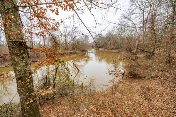 10970 PEA VINE RD, POCAHONTAS, TN 38061 - Image ea9f8a9a3bc92bce30cc563ce41ed57d/1748129662