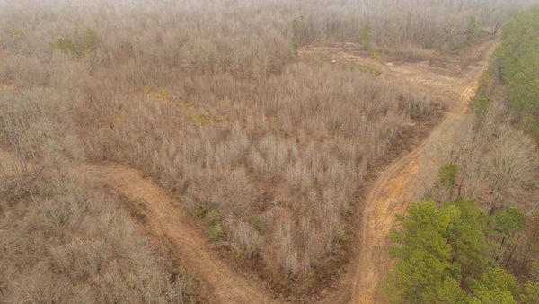 10970 PEA VINE RD, POCAHONTAS, TN 38061 - Image ea9f8a9a3bc92bce30cc563ce41ed57d/1886851381