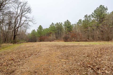 10970 PEA VINE RD Pocahontas TN 38061