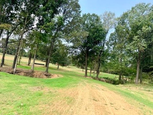 10 ANTWINE RD, GADSDEN, TN 38337 - Image eb43aca8d5f06f73592e7b8a1f9dc8c7/715465809