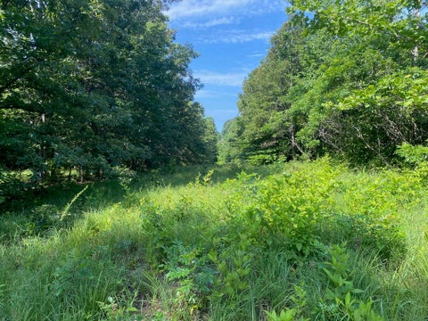 Photo of SEL BROOKS LN, Bethel Springs, TN 38315 (MLS # 10225705)