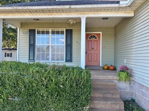 Photo of 187 COLLINS ST, Ripley, TN 38063 (MLS # 10209885)