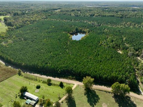 CONNIE SMITH RD Selmer TN 38375