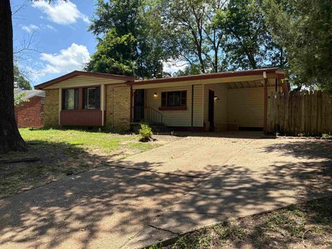 Photo of 3562 MONESSEN DR, Memphis, TN 38128 (MLS # 10223826)