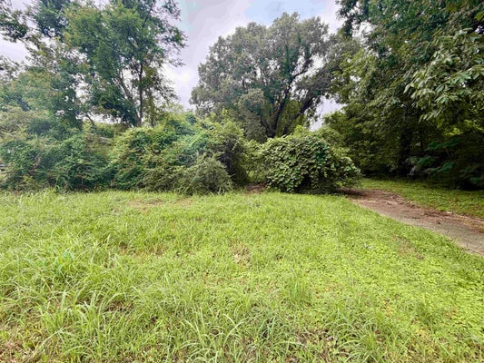 118 DOVER AVE, MEMPHIS, TN 38106 - Image ee61eda0a0dc55af5b078a50e5d0e82e/513217737
