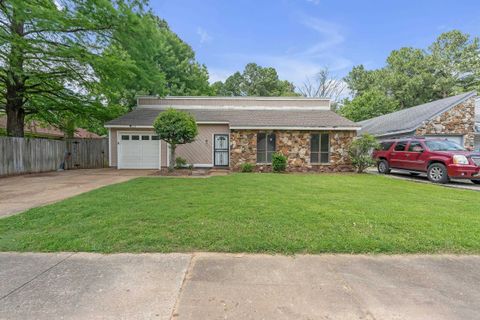 Photo of 6128 RAINTREE DR, Memphis, TN 38115 (MLS # 10206449)
