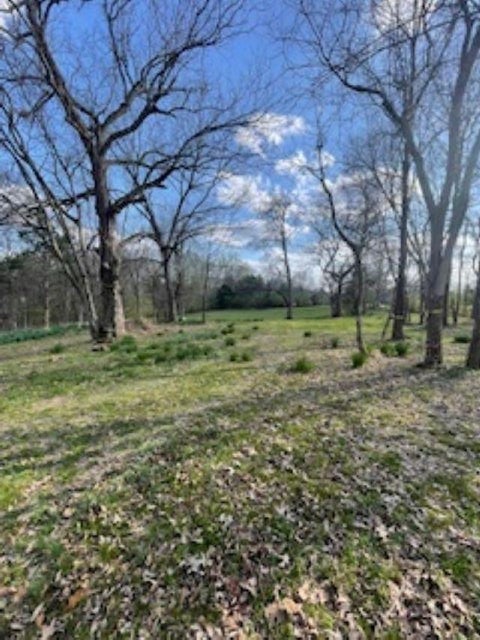 Photo of 10485 RALEIGH-LAGRANGE RD E, Eads, TN 38028 (MLS # 10205660)