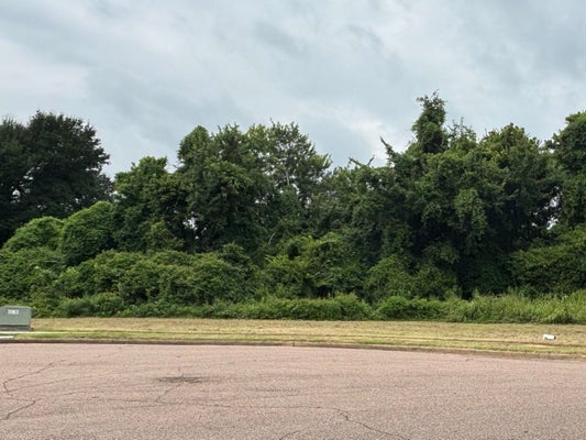 5033 CARTERVILLE PL, MEMPHIS, TN 38127 - Image f0c8a6a6a8b40133d72edc57c37ac24c/3796321079
