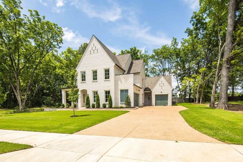 Photo of 9172 CHEATHAM LN, Germantown, TN 38138 (MLS # 10207894)