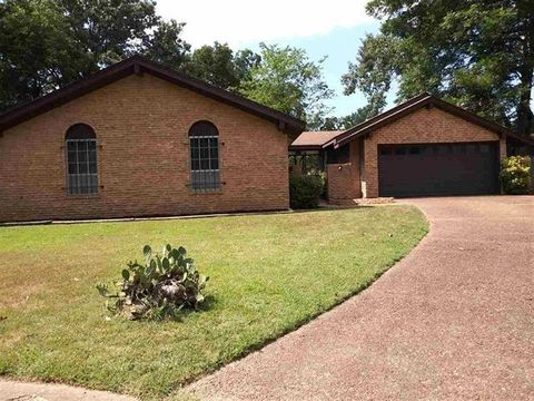 Photo of 5292 PIPERS GAP BLVD, Memphis, TN 38134 (MLS # 10213734)