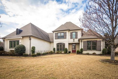Photo of 4313 MOUNT GILLESPIE DR, Lakeland, TN 38002 (MLS # 10215929)