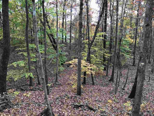 20 COUNTRY WOODS DR, SELMER, TN 38375 - Image f75248fa2e4356d8b3aca8b38fc3971f/692129478