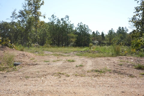 Photo of 2128 LOW GAP RD, Sugar Tree, TN 38380 (MLS # 10233013)