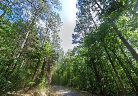 Photo of CEDAR GROVE LOOP, Bolivar, TN 38008 (MLS # 10217539)
