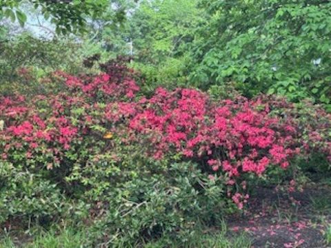 Photo of 232 S HIGHLAND ST 803 #803, Memphis, TN 38111 (MLS # 10220152)