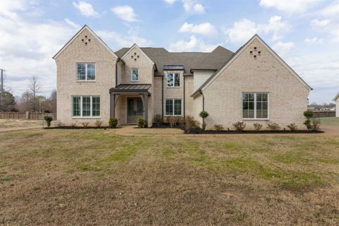 Photo of 11120 SHELBY POST RD, Collierville, TN 38017 (MLS # 10215810)