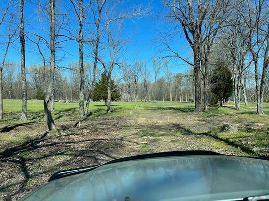 80 MACON RIDGE CV, WILLISTON, TN 38076 - Image fcd6317e0e6c0f40596d7017f4bec7d9/822978488