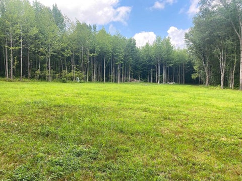Photo of 1234 SANDY FLATT RD, Bethel Springs, TN 38315 (MLS # 10226848)