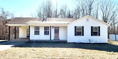 Photo of 3211 ASBURY GLIMP RD, Ripley, TN 38063 (MLS # 10214505)