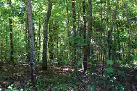 Photo of 000 EBENEZER RD, Toone, TN 38381 (MLS # 10222176)