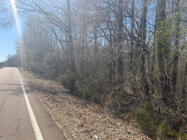 Photo 1 of 21 — TRACT 6 HWY 22A HWY, Jacks Creek, TN 38347