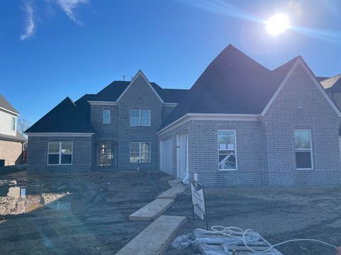 Photo of 10153 KAITLYNN ROSE DR S, Lakeland, TN 38002 (MLS # 10209602)
