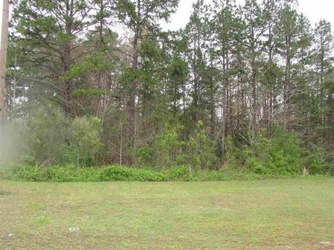 Photo of 10785 HWY 57 HWY, Counce, TN 38326 (MLS # 10079161)