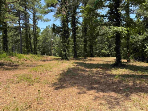 Photo of 0 HIGHWAY 57 HWY, Michie, TN 38357 (MLS # 10195879)