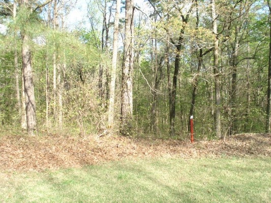 BRIAR CREEK CV, COUNCE, TN 38326 - Image ffdbb03ec52759dc101abe5fc34b8fc8/598578359