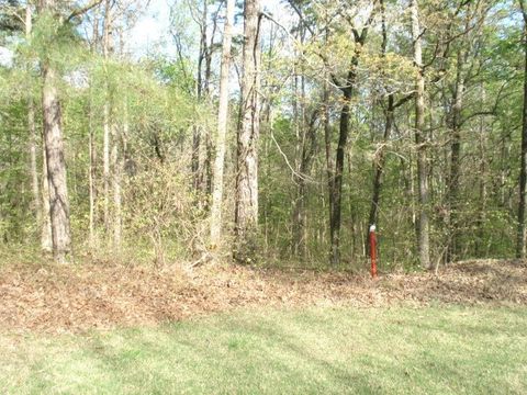 Photo of 505A BRIAR CREEK RD, Counce, TN 38326 (MLS # 9999113)
