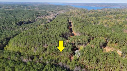Photo of LOT 32 WOODLANDS OF RIVERTRACE RD, Iuka, MS 38852 (MLS # 10213943)