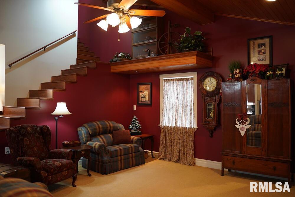 25065 Rock Springs Hollow Road, Thebes, Illinois image 31