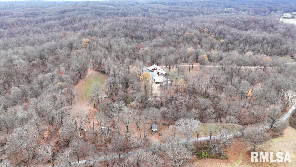 25065 Rock Springs Hollow Road, Thebes, Illinois image 46