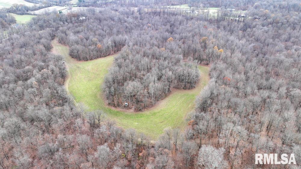 25065 Rock Springs Hollow Road, Thebes, Illinois image 45