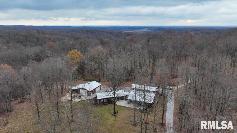 25065 Rock Springs Hollow Road, Thebes, Illinois image 7