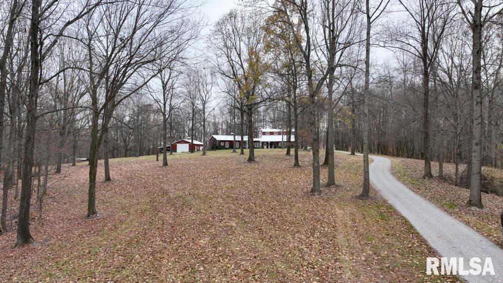 25065 Rock Springs Hollow Road, Thebes, Illinois image 8