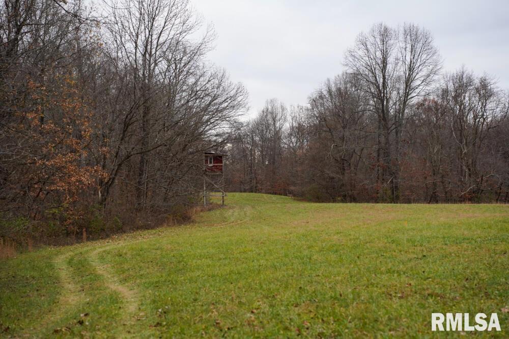 25065 Rock Springs Hollow Road, Thebes, Illinois image 50