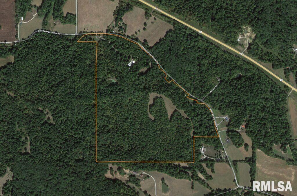 25065 Rock Springs Hollow Road, Thebes, Illinois image 14