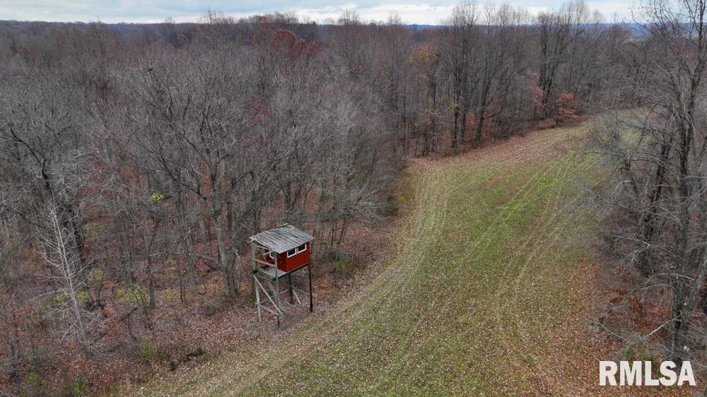 25065 Rock Springs Hollow Road, Thebes, Illinois image 49