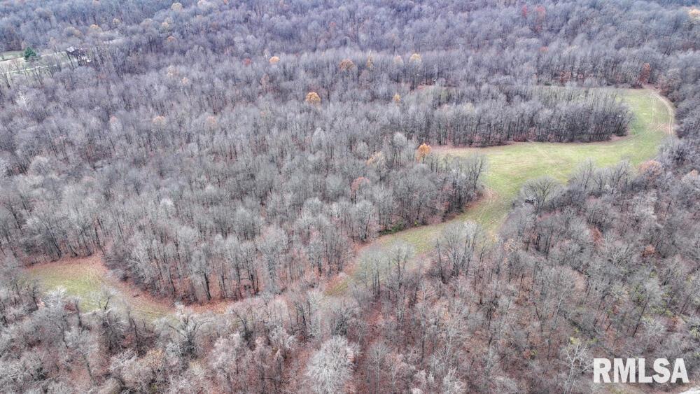 25065 Rock Springs Hollow Road, Thebes, Illinois image 37