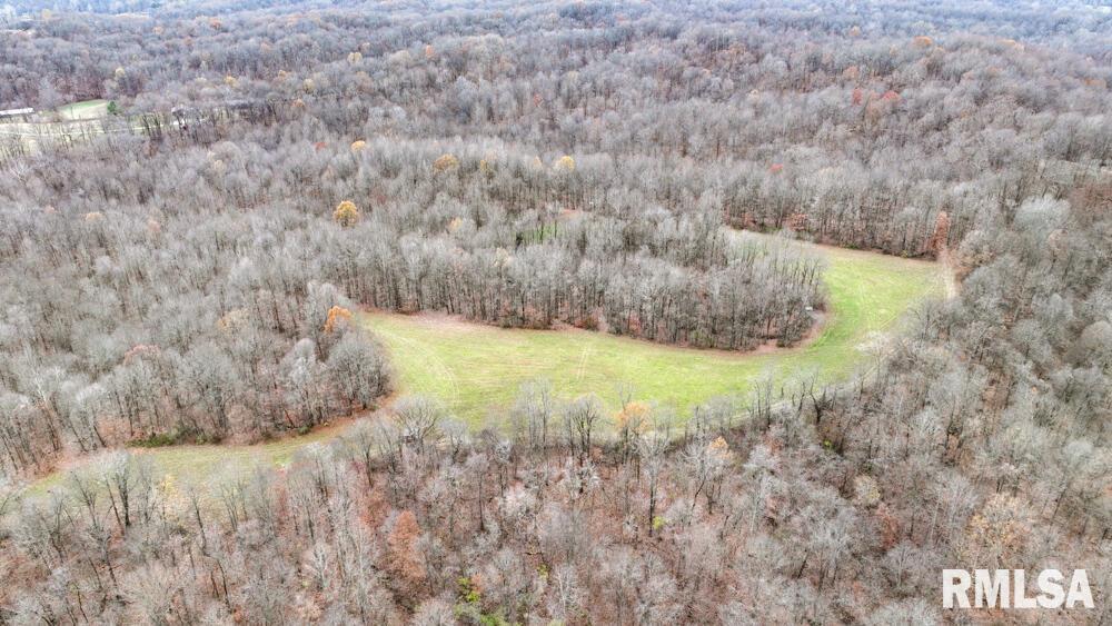 25065 Rock Springs Hollow Road, Thebes, Illinois image 48