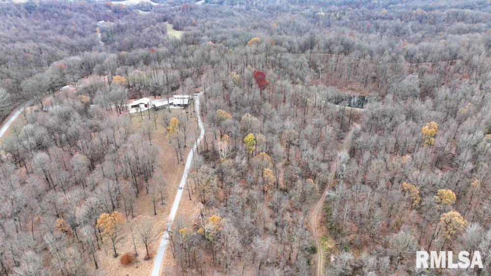 25065 Rock Springs Hollow Road, Thebes, Illinois image 26