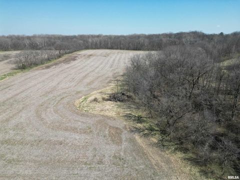 Vacant Land For Sale - County Hwy 22<br/> Fulton County, Canton, IL 61520