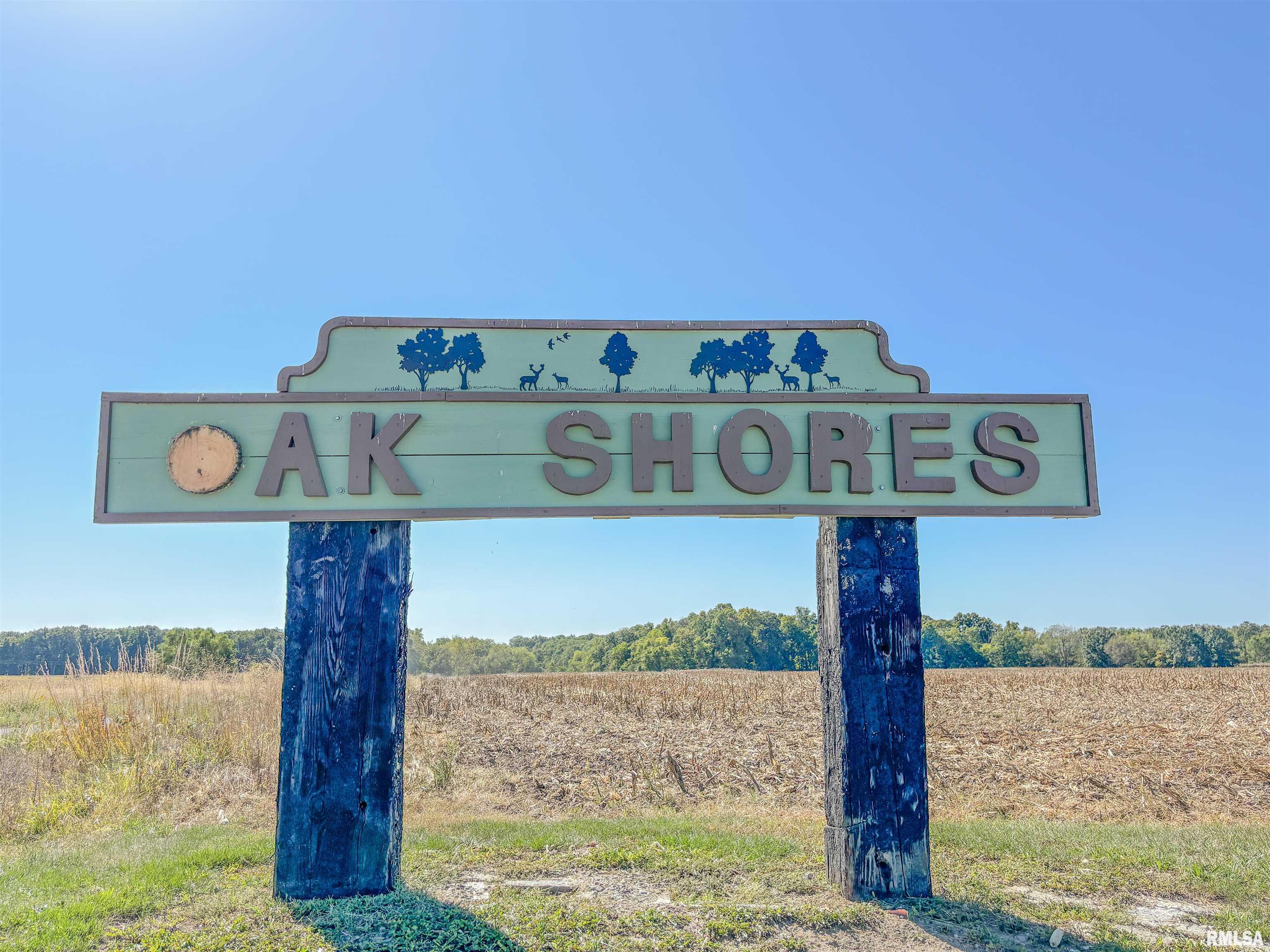 Lot 44 B Oak Shores Drive, Dix, Illinois image 3